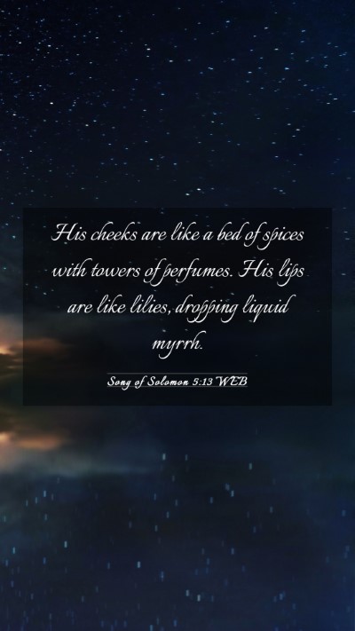 Picture 03 - Song of Solomon 5:13 WEB Mobile Phone Wallpaper - His cheeks are like a bed of spices with towers - Mobile Bible Verse Wallpaper