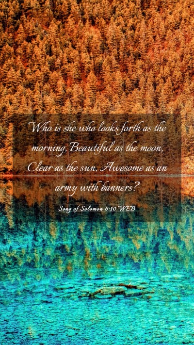 Picture 03 - Song of Solomon 6:10 WEB Mobile Phone Wallpaper - Who is she who looks forth as the morning, - Mobile Bible Verse Wallpaper