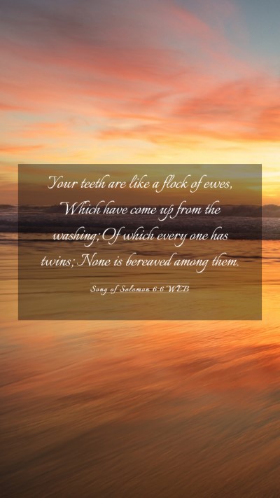 Picture 03 - Song of Solomon 6:6 WEB Mobile Phone Wallpaper - Your teeth are like a flock of ewes, Which have - Mobile Bible Verse Wallpaper