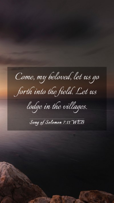 Picture 03 - Song of Solomon 7:11 WEB Mobile Phone Wallpaper - Come, my beloved, let us go forth into the field. - Mobile Bible Verse Wallpaper
