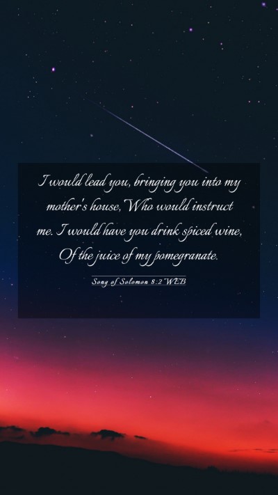 Picture 03 - Song of Solomon 8:2 WEB Mobile Phone Wallpaper - I would lead you, bringing you into my mother's - Mobile Bible Verse Wallpaper