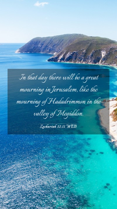 Picture 03 - Zechariah 12:11 WEB Mobile Phone Wallpaper - In that day there will be a great mourning in - Mobile Bible Verse Wallpaper