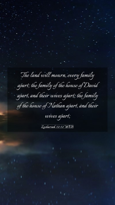 Picture 03 - Zechariah 12:12 WEB Mobile Phone Wallpaper - The land will mourn, every family apart; the - Mobile Bible Verse Wallpaper
