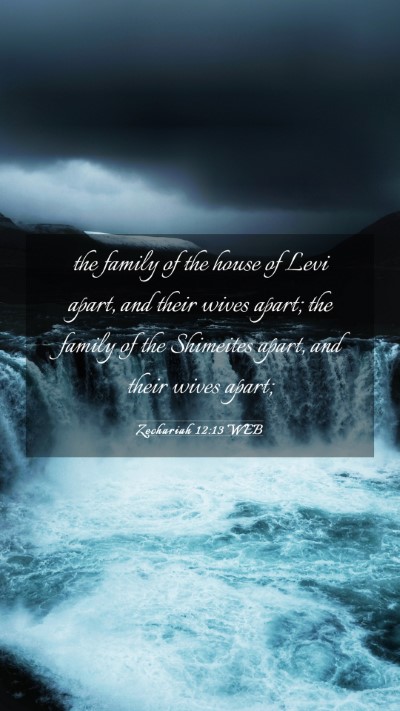 Picture 03 - Zechariah 12:13 WEB Mobile Phone Wallpaper - the family of the house of Levi apart, and their - Mobile Bible Verse Wallpaper