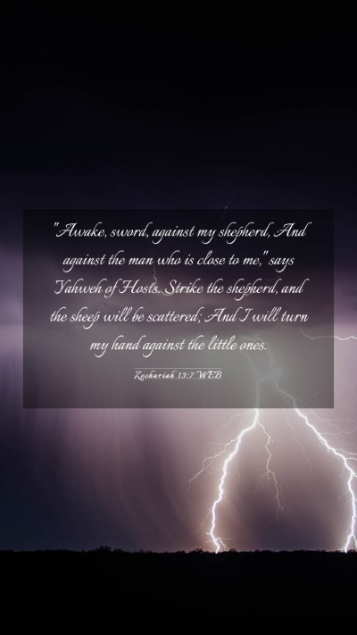 Picture 03 - Zechariah 13:7 WEB Mobile Phone Wallpaper - 