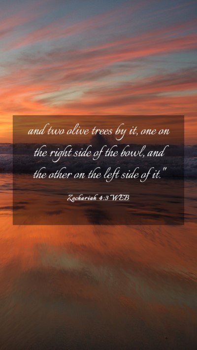Picture 03 - Zechariah 4:3 WEB Mobile Phone Wallpaper - and two olive trees by it, one on the right side - Mobile Bible Verse Wallpaper