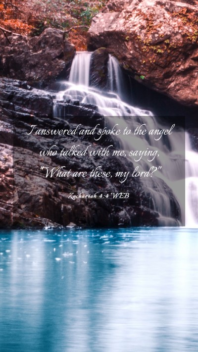 Picture 03 - Zechariah 4:4 WEB Mobile Phone Wallpaper - I answered and spoke to the angel who talked with - Mobile Bible Verse Wallpaper