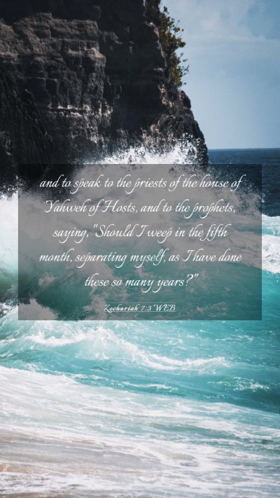 Picture 03 - Zechariah 7:3 WEB Mobile Phone Wallpaper - and to speak to the priests of the house of - Mobile Bible Verse Wallpaper