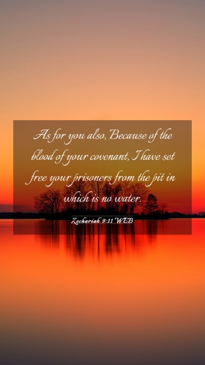 Picture 03 - Zechariah 9:11 WEB Mobile Phone Wallpaper - As for you also, Because of the blood of your - Mobile Bible Verse Wallpaper