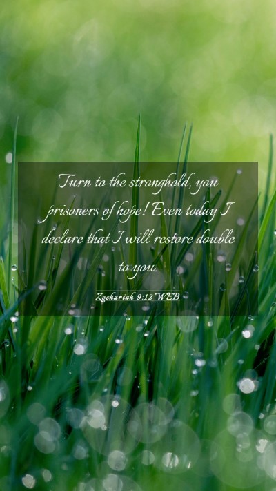 Picture 03 - Zechariah 9:12 WEB Mobile Phone Wallpaper - Turn to the stronghold, you prisoners of hope! - Mobile Bible Verse Wallpaper