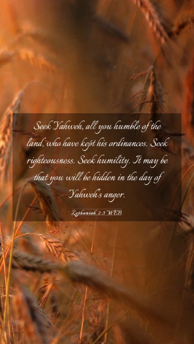 Picture 03 - Zephaniah 2:3 WEB Mobile Phone Wallpaper - Seek Yahweh, all you humble of the land, who have - Mobile Bible Verse Wallpaper