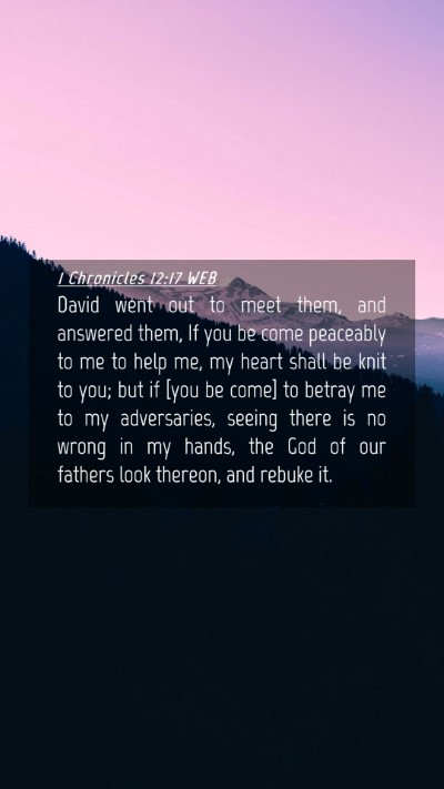 Picture 04 - 1 Chronicles 12:17 WEB Mobile Phone Wallpaper - David went out to meet them, and answered them, - Mobile Bible Verse Wallpaper