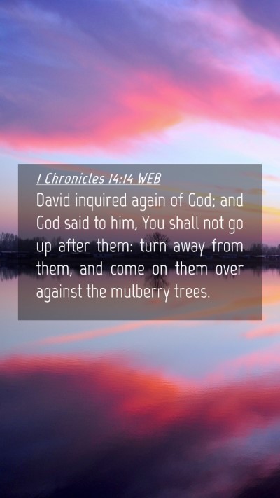 Picture 04 - 1 Chronicles 14:14 WEB Mobile Phone Wallpaper - David inquired again of God; and God said to him, - Mobile Bible Verse Wallpaper