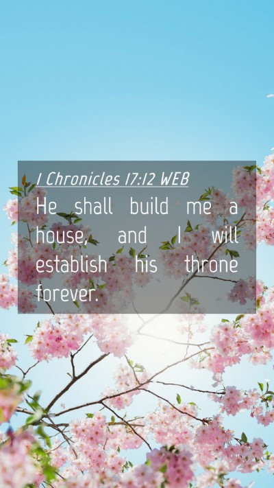 Picture 04 - 1 Chronicles 17:12 WEB Mobile Phone Wallpaper - He shall build me a house, and I will establish - Mobile Bible Verse Wallpaper