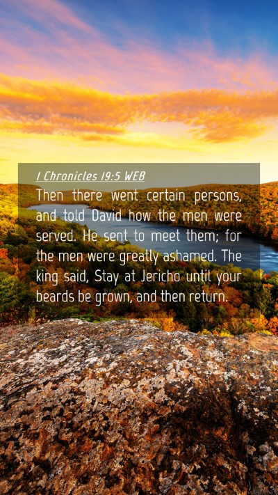 Picture 04 - 1 Chronicles 19:5 WEB Mobile Phone Wallpaper - Then there went certain persons, and told David - Mobile Bible Verse Wallpaper