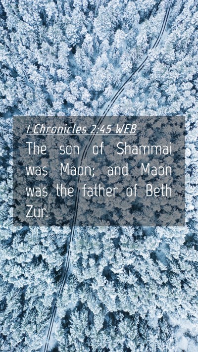 Picture 04 - 1 Chronicles 2:45 WEB Mobile Phone Wallpaper - The son of Shammai was Maon; and Maon was the - Mobile Bible Verse Wallpaper