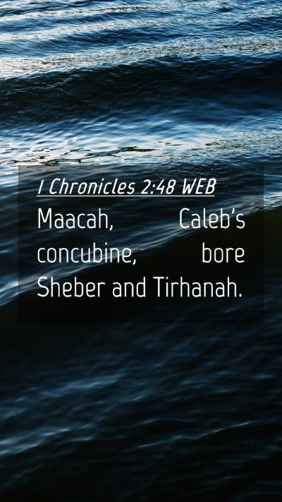 Picture 04 - 1 Chronicles 2:48 WEB Mobile Phone Wallpaper - Maacah, Caleb's concubine, bore Sheber and - Mobile Bible Verse Wallpaper