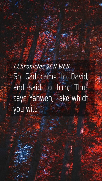 Picture 04 - 1 Chronicles 21:11 WEB Mobile Phone Wallpaper - So Gad came to David, and said to him, Thus says - Mobile Bible Verse Wallpaper