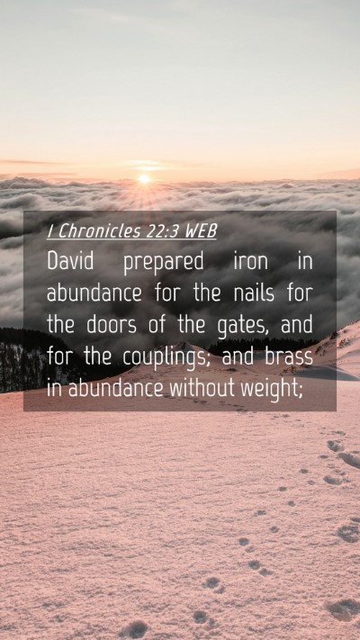 Picture 04 - 1 Chronicles 22:3 WEB Mobile Phone Wallpaper - David prepared iron in abundance for the nails - Mobile Bible Verse Wallpaper