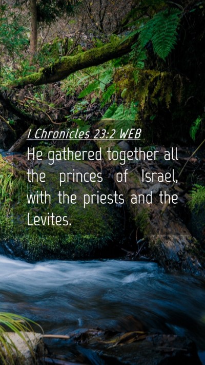 Picture 04 - 1 Chronicles 23:2 WEB Mobile Phone Wallpaper - He gathered together all the princes of Israel, - Mobile Bible Verse Wallpaper
