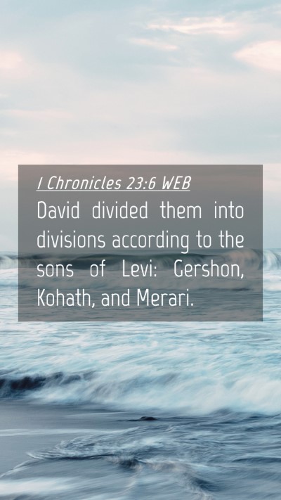 Picture 04 - 1 Chronicles 23:6 WEB Mobile Phone Wallpaper - David divided them into divisions according to - Mobile Bible Verse Wallpaper