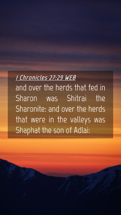 Picture 04 - 1 Chronicles 27:29 WEB Mobile Phone Wallpaper - and over the herds that fed in Sharon was Shitrai - Mobile Bible Verse Wallpaper