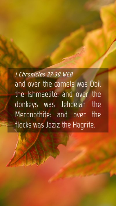 Picture 04 - 1 Chronicles 27:30 WEB Mobile Phone Wallpaper - and over the camels was Obil the Ishmaelite: and - Mobile Bible Verse Wallpaper
