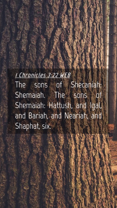 Picture 04 - 1 Chronicles 3:22 WEB Mobile Phone Wallpaper - The sons of Shecaniah: Shemaiah. The sons of - Mobile Bible Verse Wallpaper