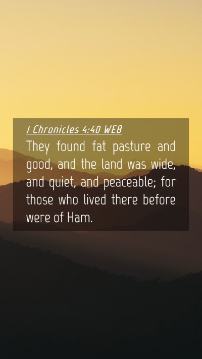 Picture 04 - 1 Chronicles 4:40 WEB Mobile Phone Wallpaper - They found fat pasture and good, and the land was - Mobile Bible Verse Wallpaper