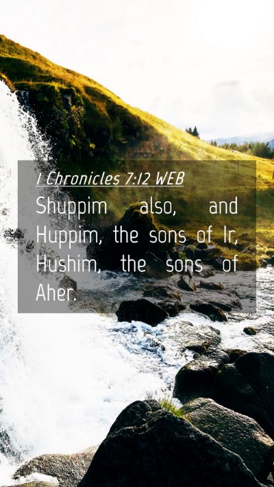 Picture 04 - 1 Chronicles 7:12 WEB Mobile Phone Wallpaper - Shuppim also, and Huppim, the sons of Ir, Hushim, - Mobile Bible Verse Wallpaper