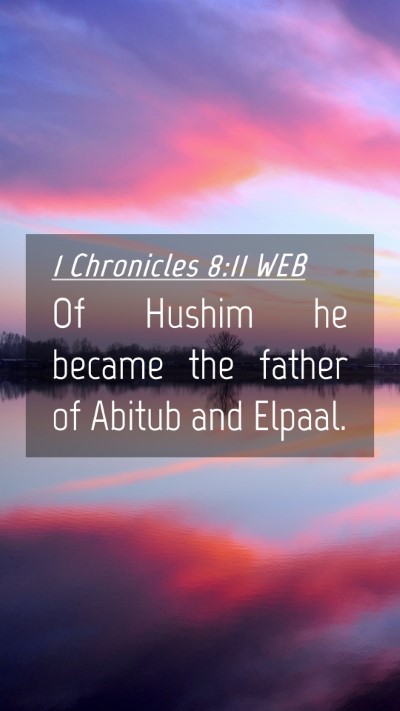 Picture 04 - 1 Chronicles 8:11 WEB Mobile Phone Wallpaper - Of Hushim he became the father of Abitub and - Mobile Bible Verse Wallpaper