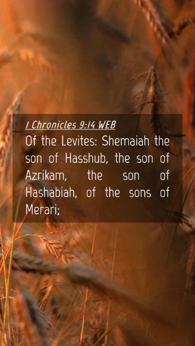 Picture 04 - 1 Chronicles 9:14 WEB Mobile Phone Wallpaper - Of the Levites: Shemaiah the son of Hasshub, the - Mobile Bible Verse Wallpaper