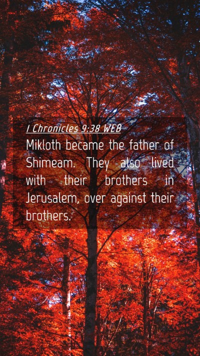 Picture 04 - 1 Chronicles 9:38 WEB Mobile Phone Wallpaper - Mikloth became the father of Shimeam. They also - Mobile Bible Verse Wallpaper