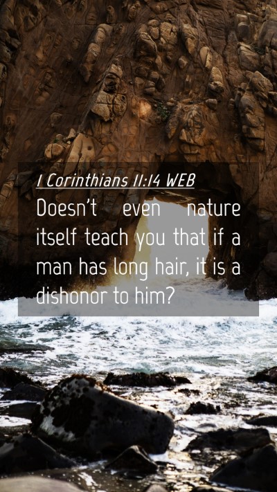 Picture 04 - 1 Corinthians 11:14 WEB Mobile Phone Wallpaper - Doesn't even nature itself teach you that if a - Mobile Bible Verse Wallpaper