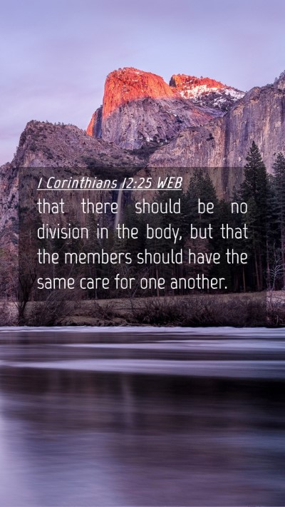 Picture 04 - 1 Corinthians 12:25 WEB Mobile Phone Wallpaper - that there should be no division in the body, but - Mobile Bible Verse Wallpaper