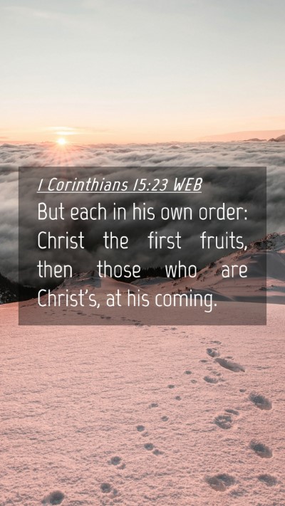 Picture 04 - 1 Corinthians 15:23 WEB Mobile Phone Wallpaper - But each in his own order: Christ the first - Mobile Bible Verse Wallpaper