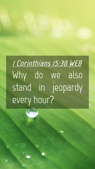 Picture 04 - 1 Corinthians 15:30 WEB Mobile Phone Wallpaper - Why do we also stand in jeopardy every - Mobile Bible Verse Wallpaper