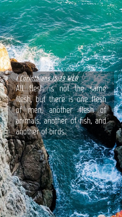 Picture 04 - 1 Corinthians 15:39 WEB Mobile Phone Wallpaper - All flesh is not the same flesh, but there is one - Mobile Bible Verse Wallpaper