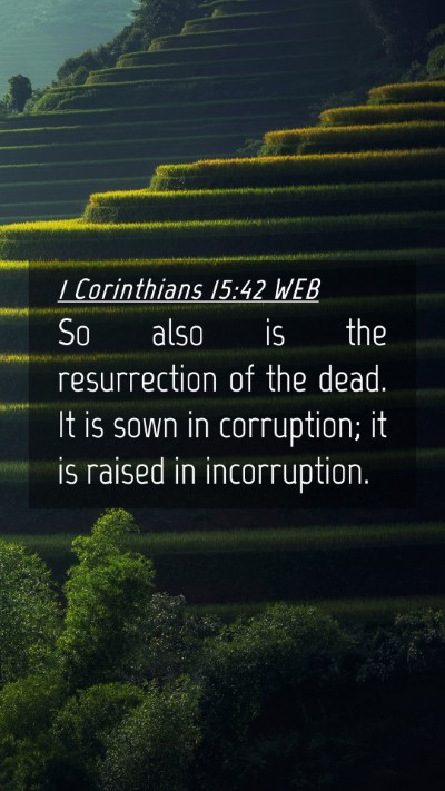 Picture 04 - 1 Corinthians 15:42 WEB Mobile Phone Wallpaper - So also is the resurrection of the dead. It is - Mobile Bible Verse Wallpaper
