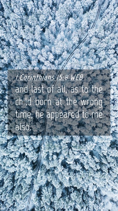 Picture 04 - 1 Corinthians 15:8 WEB Mobile Phone Wallpaper - and last of all, as to the child born at the - Mobile Bible Verse Wallpaper
