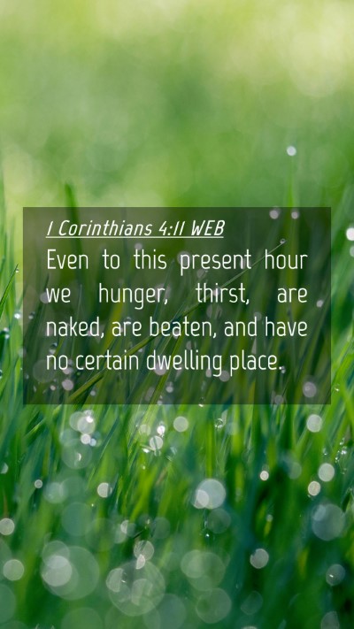 Picture 04 - 1 Corinthians 4:11 WEB Mobile Phone Wallpaper - Even to this present hour we hunger, thirst, are - Mobile Bible Verse Wallpaper