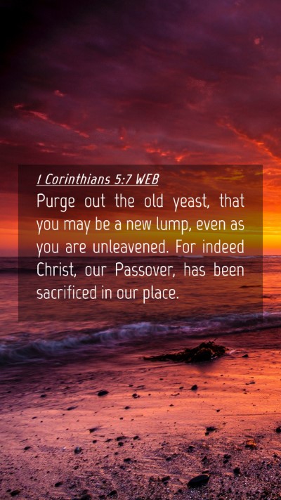 Picture 04 - 1 Corinthians 5:7 WEB Mobile Phone Wallpaper - Purge out the old yeast, that you may be a new - Mobile Bible Verse Wallpaper