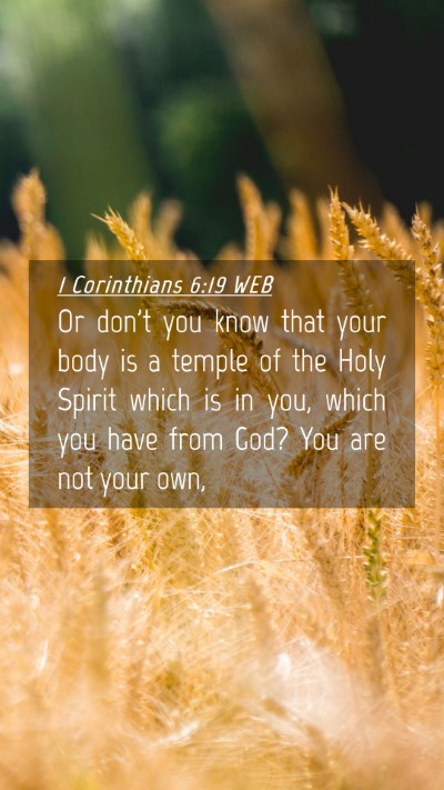 Picture 04 - 1 Corinthians 6:19 WEB Mobile Phone Wallpaper - Or don't you know that your body is a temple of - Mobile Bible Verse Wallpaper