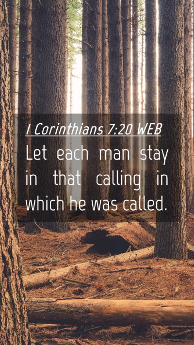 Picture 04 - 1 Corinthians 7:20 WEB Mobile Phone Wallpaper - Let each man stay in that calling in which he was - Mobile Bible Verse Wallpaper