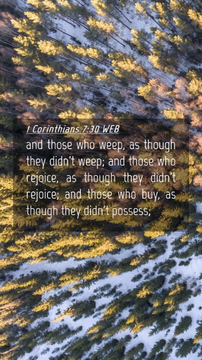 Picture 04 - 1 Corinthians 7:30 WEB Mobile Phone Wallpaper - and those who weep, as though they didn't weep; - Mobile Bible Verse Wallpaper