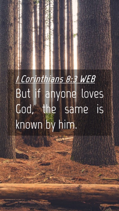 Picture 04 - 1 Corinthians 8:3 WEB Mobile Phone Wallpaper - But if anyone loves God, the same is known by - Mobile Bible Verse Wallpaper