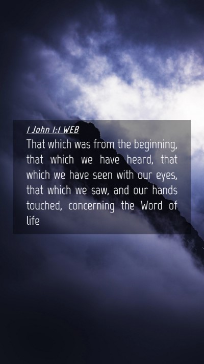 Picture 04 - 1 John 1:1 WEB Mobile Phone Wallpaper - That which was from the beginning, that which we - Mobile Bible Verse Wallpaper