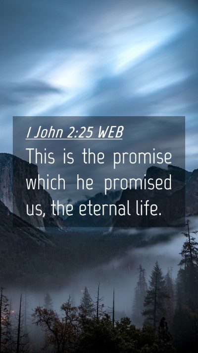 Picture 04 - 1 John 2:25 WEB Mobile Phone Wallpaper - This is the promise which he promised us, the - Mobile Bible Verse Wallpaper