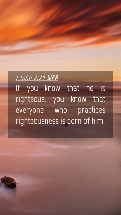 Picture 04 - 1 John 2:29 WEB Mobile Phone Wallpaper - If you know that he is righteous, you know that - Mobile Bible Verse Wallpaper