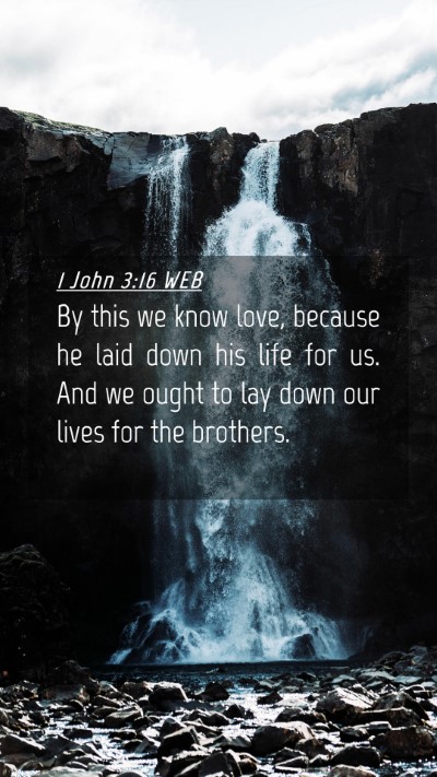 Picture 04 - 1 John 3:16 WEB Mobile Phone Wallpaper - By this we know love, because he laid down his - Mobile Bible Verse Wallpaper